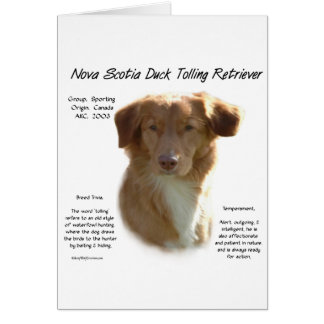 Nova Scotia Duck Tolling Retriever History Design