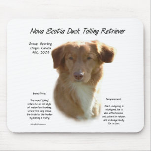 Nova Scotia Duck Tolling Retriever History Design Mouse Mat
