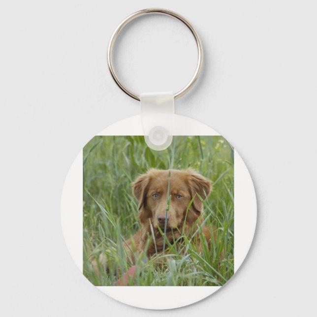 Nova Scotia Duck Tolling Retriever Key Ring (Front)