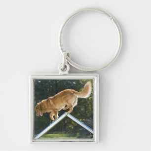 nova scotia duck-tolling retriever key ring