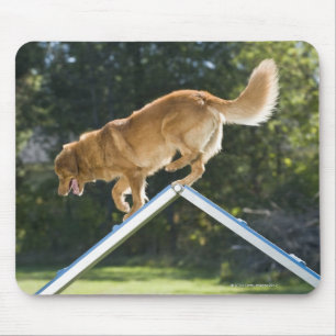 nova scotia duck-tolling retriever mouse mat