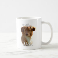 Nova Scotia Duck Tolling Retriever Mum 2