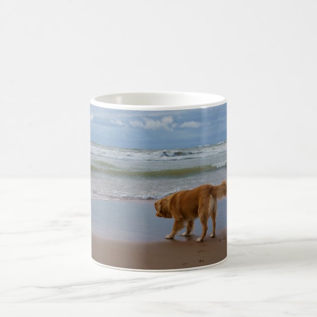 Nova Scotia Duck Tolling Retriever Ocean Cautious Coffee Mug (Center)