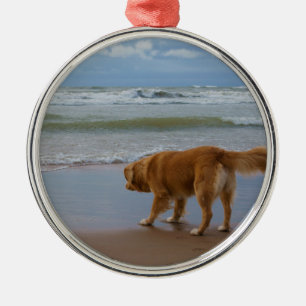 Nova Scotia Duck Tolling Retriever Ocean Cautious Metal Tree Decoration