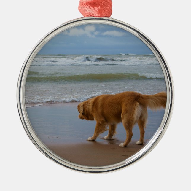 Nova Scotia Duck Tolling Retriever Ocean Cautious Metal Tree Decoration (Front)
