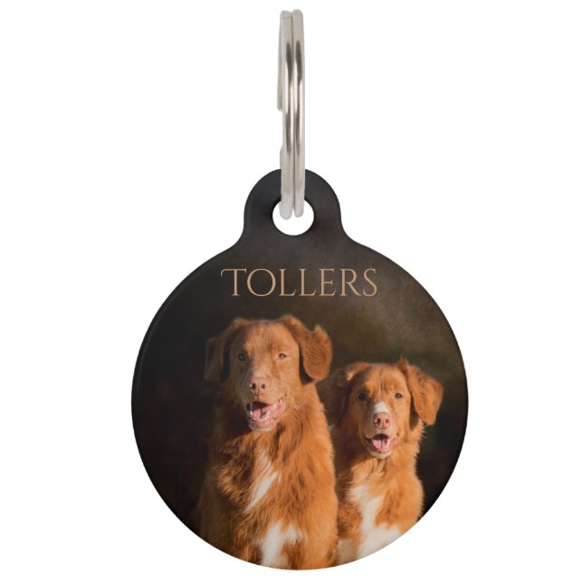 Nova Scotia Duck Tolling Retriever Pet Tag (Front)