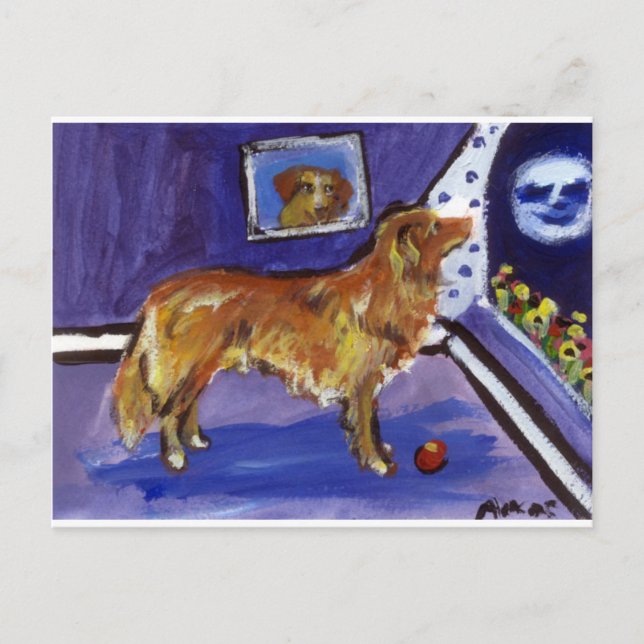 Nova Scotia Duck Tolling Retriever Postcard (Front)