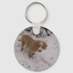 Nova_Scotia_Duck-Tolling_Retriever pup in snow Key Ring