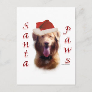 Nova Scotia Duck Tolling Retriever Santa Paws Holiday Postcard