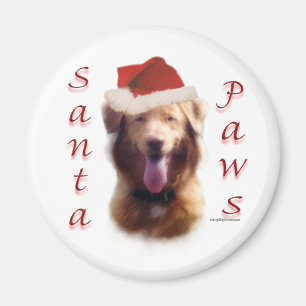 Nova Scotia Duck Tolling Retriever Santa Paws Magnet