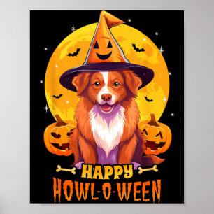 Nova Scotia Duck Tolling Retriever Toller Poster