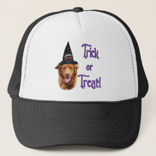 Nova Scotia Duck Tolling Retriever Trick Trucker Hat