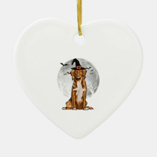 Nova Scotia Duck Tolling Retrievers Dog Witch Hat Ceramic Tree Decoration