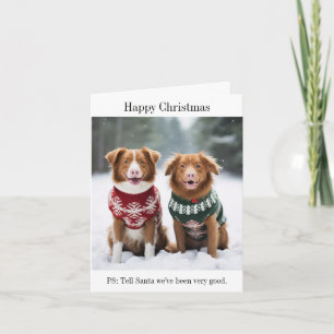 Nova Scotia Ducktolling Retrievers Christmas Card