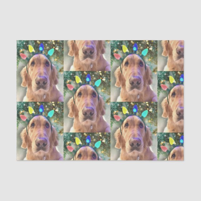 Nova the Golden Retriever Christmas Tissue Paper (Front)