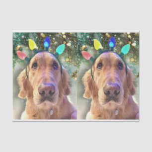 Nova the Golden Retriever Christmas Tissue Paper