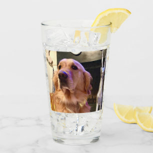 Nova The Golden Retriever - Glass