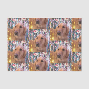 Nova the Golden Retriever Santa Christmas Tissue Paper