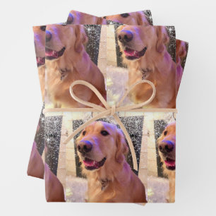 Nova the Golden Retriever - Wrapping Paper Sheets