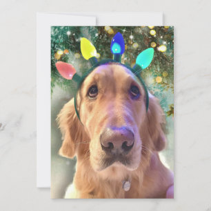 Nova's Bah Humbug Christmas  - Golden Retriever -  Holiday Card