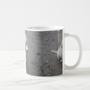 NovaScotiaDuckTollingRetriever pup sitting Coffee Mug
