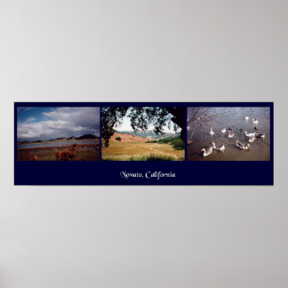 Novato, California Poster