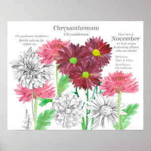 November Birth Flower Language of Flowers Poster