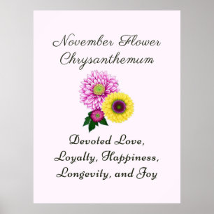 November Birth Month Flower Chrysanthemum Poster