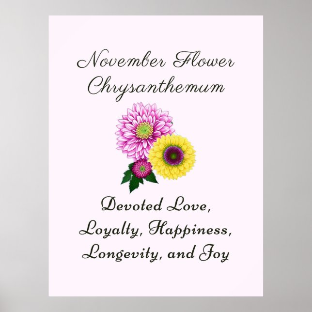 November Birth Month Flower Chrysanthemum Poster (Front)