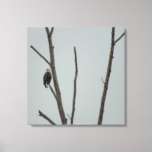 November Canvas Print