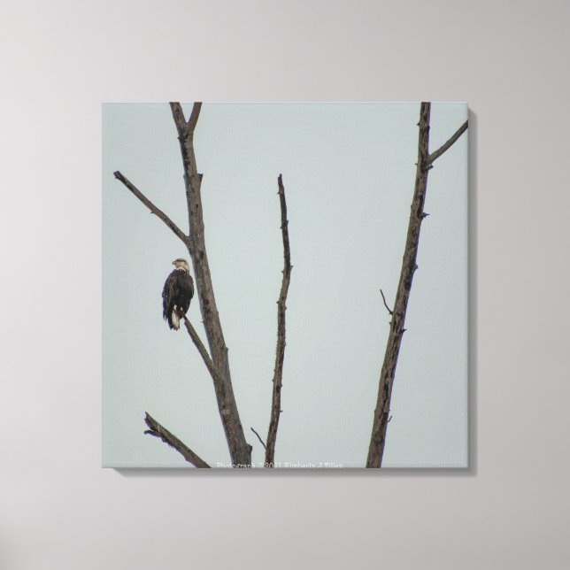 November Canvas Print (Front)