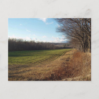 November Field II Postcard