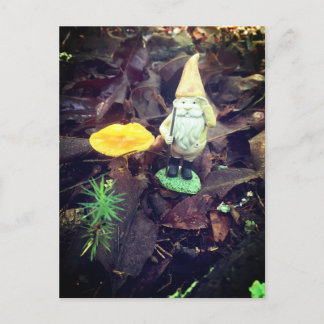 November Gnome Postcard
