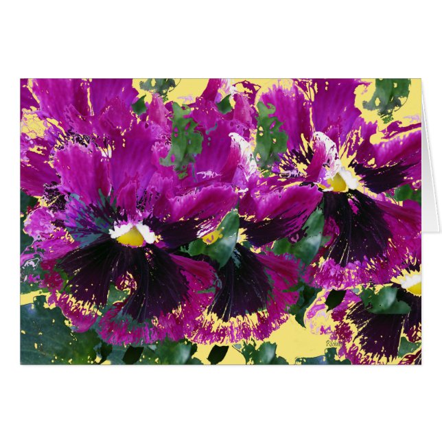 November Pansies (Front Horizontal)