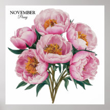 November Peony Bloom - Personalized Birthday Gift