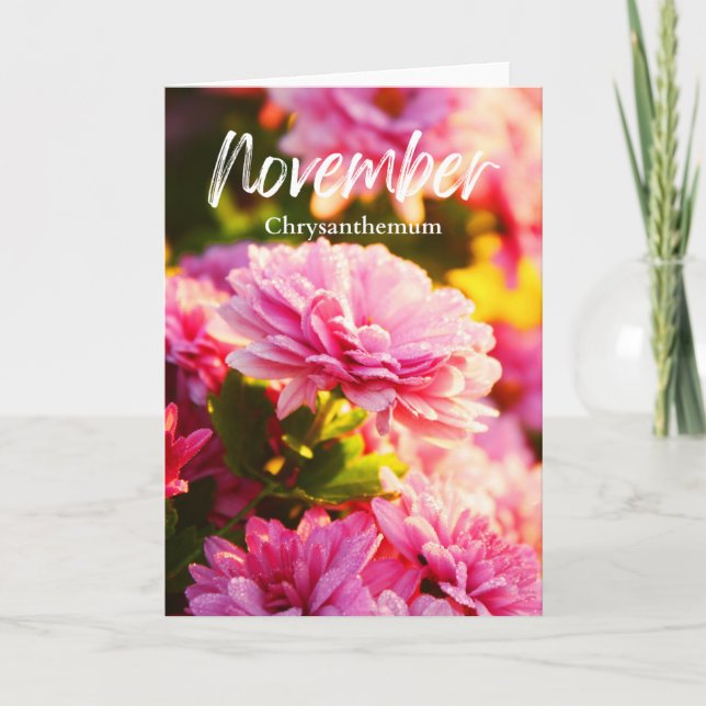 November Pink Chrysanthemum Birth Month Flower Card (Front)