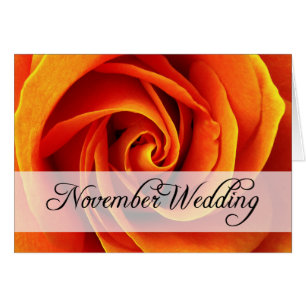 November Wedding : rose of the season :