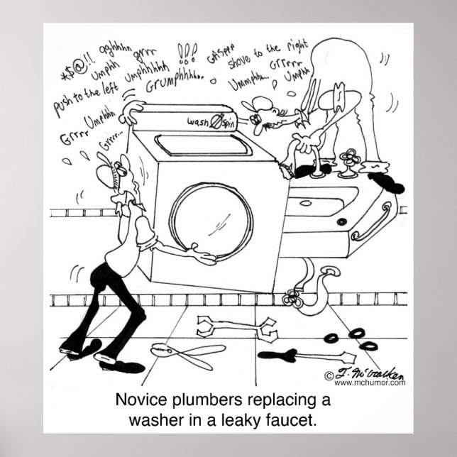 Novice Plumbers Install a Washer Poster (Front)