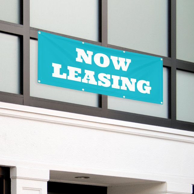 Now Leasing Banner (Outside Building)