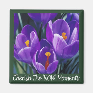 Now Moments Magnet