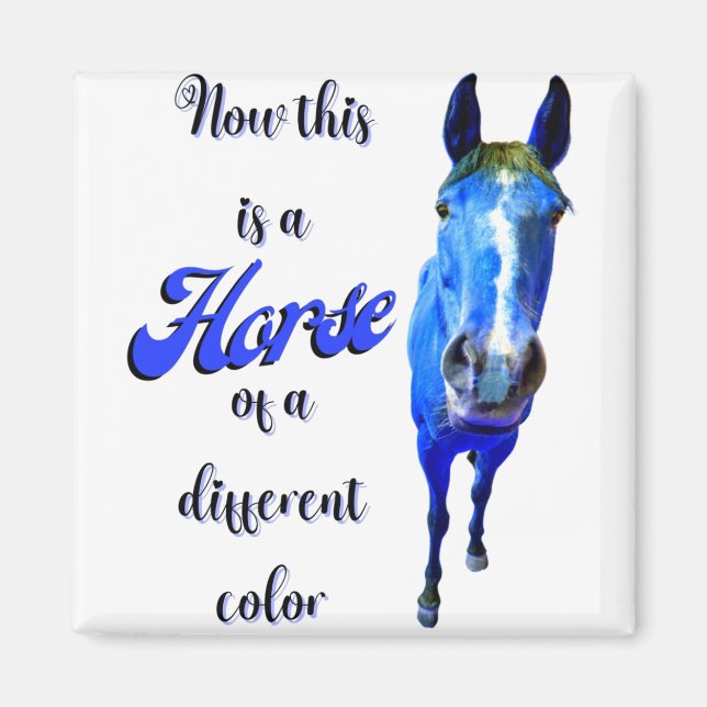 Now This Is A Horse Of A Different Colour in Blue Magnet (Front)
