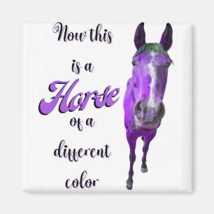 Now This Is A Horse Of A Different Colour Purple Magnet