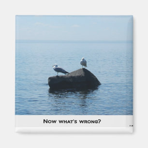 NOW WHAT'S WRONG ? MAGNET