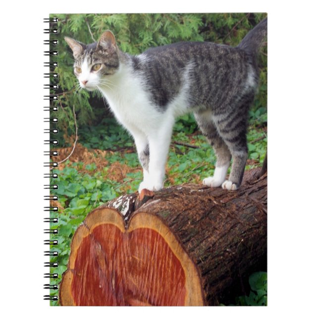 Now You Have My Attention - Kitty Notebook (Front)