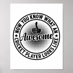 Now You Know What An Awesome Cricket Player Looks Poster