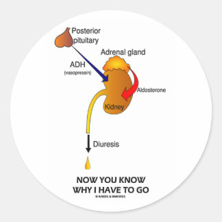Now You Know Why I Have To Go (Diuresis) Classic Round Sticker