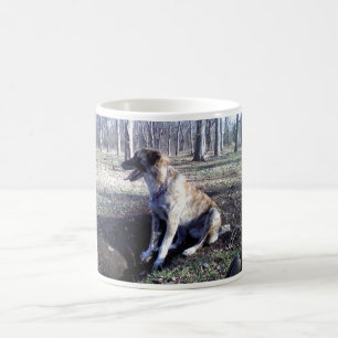 Nowzad Kujo Coffee Mug