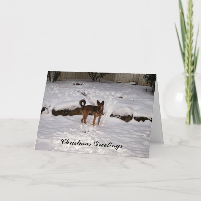 Nowzad Rescue Christmas Card (Front)