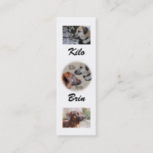 Nowzad Rescue Dogs Bookmark Mini Business Card