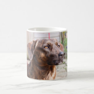 Nowzad Rscue Dog Brin Coffee Mug
